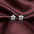 ECW STAR DAINTY EARRINGS