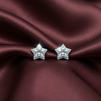 ECW STAR DAINTY EARRINGS