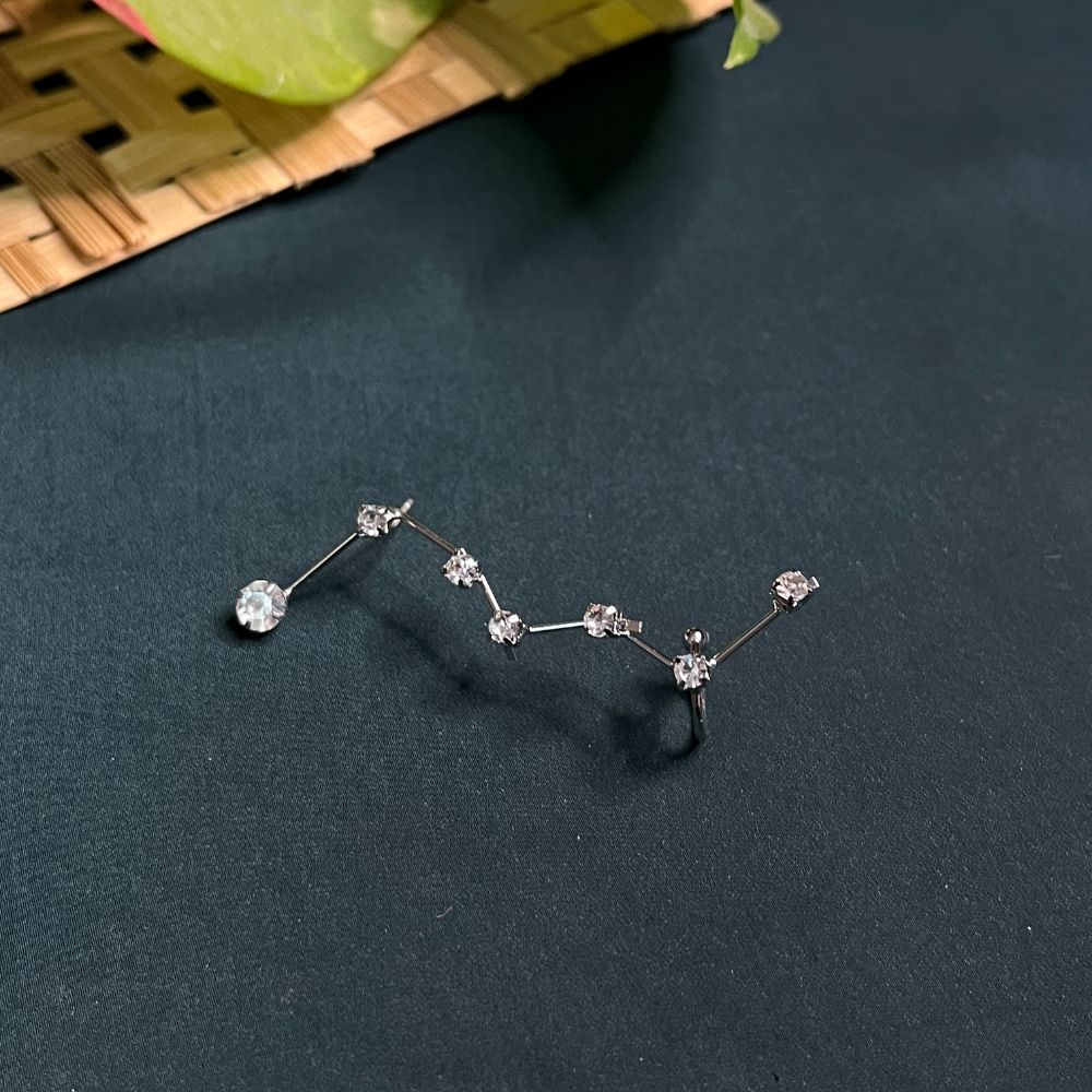 ECW CARDY STATEMENT EARRING - Image 2